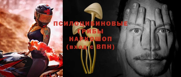 ПСИЛОЦИБИНОВЫЕ ГРИБЫ Гатчина