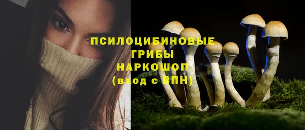 MESCALINE Бородино