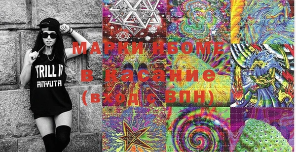 PSILOCYBIN Аркадак