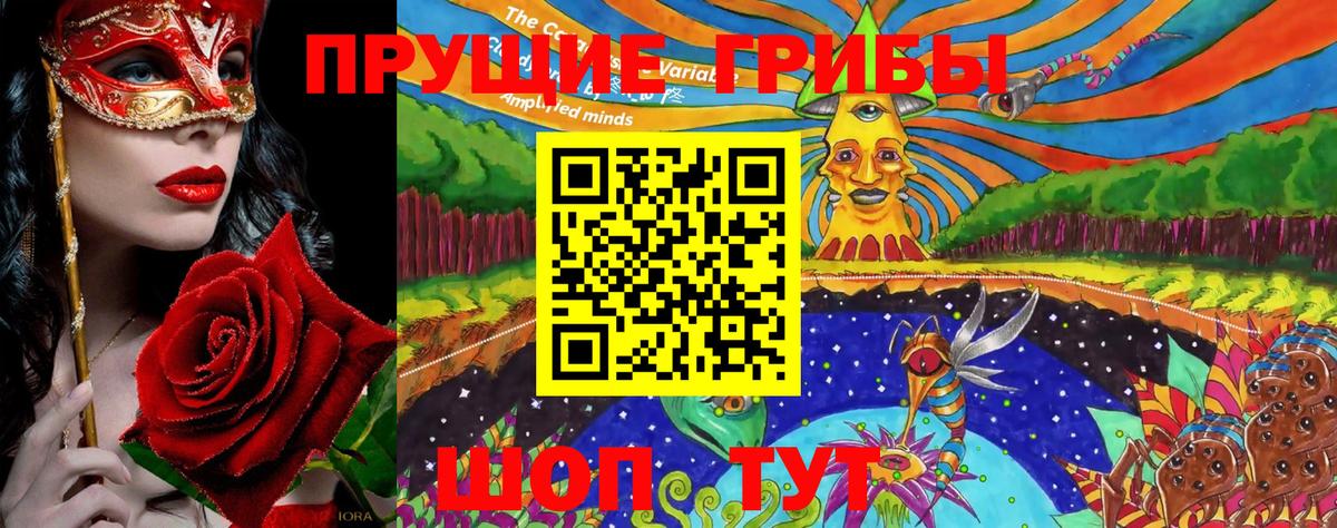 Псилоцибиновые грибы Psilocybine cubensis  наркошоп  Кириши  Вход с VPN 