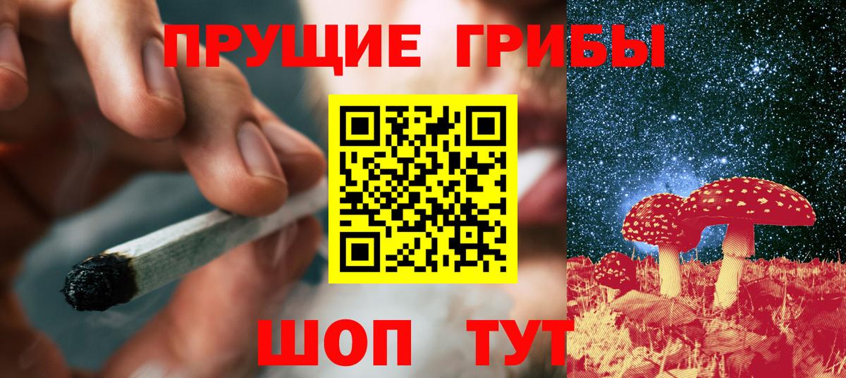 Псилоцибиновые грибы Cubensis Кириши