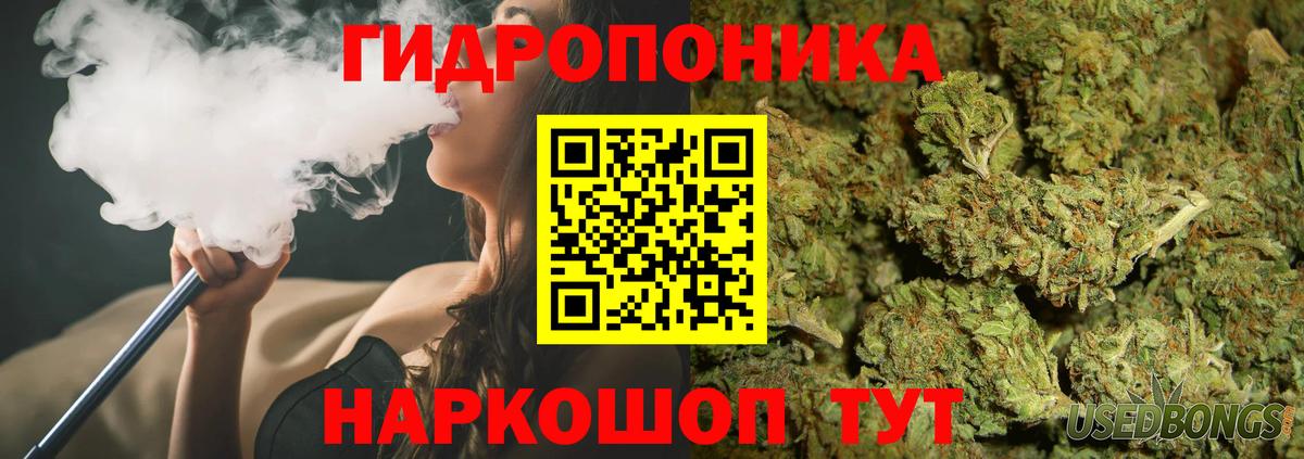 Кириши  Шишки марихуана планчик  Вход с VPN  Конопля AK-47 